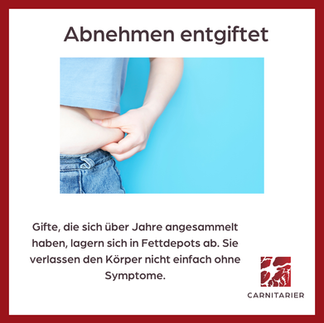Abnehmen entgiftet