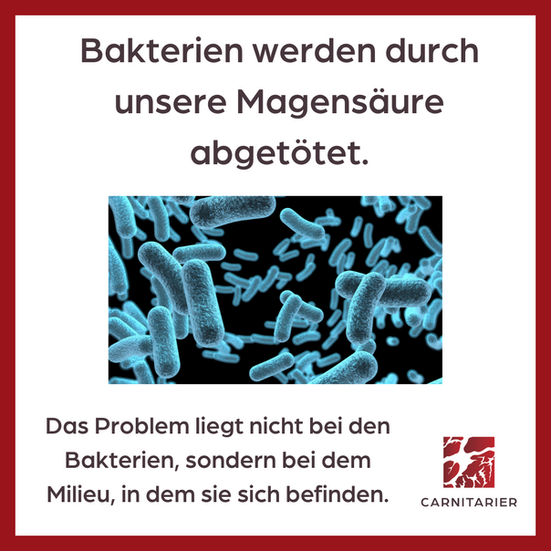 Baktieren durch Magensäure abgetötet