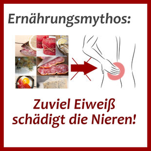 „Zuviel Eiweiß schädigt die Nieren"
