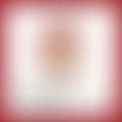 Knochenbrühe als Pulver zu kaufen