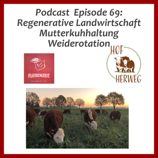 Regenerative Landwirtschaft, Mutterkuhhaltung, Weiderotation