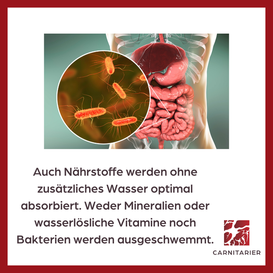 Trockenfasten - Nährstoffe