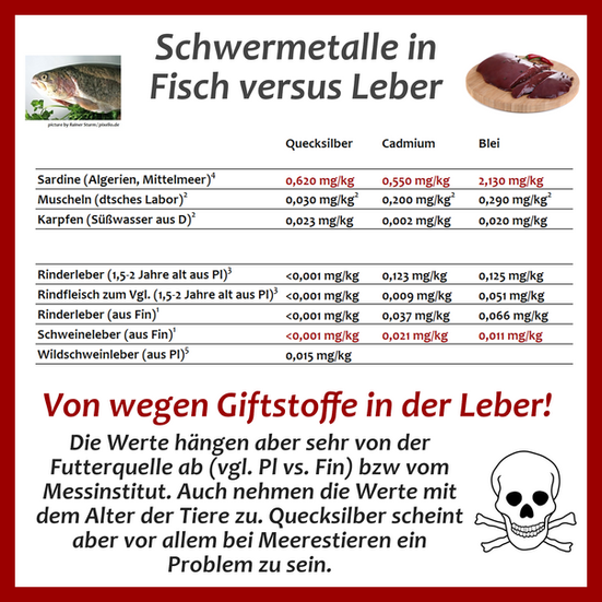 Tabelle zu Schwermetallen in Leber und Meeresfisch