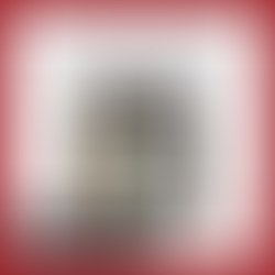 Knochenbrühe als Pulver zu kaufen