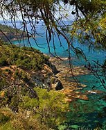 050 Akamas Peninsula National Park, Neo 