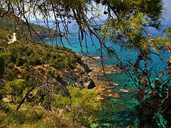 002 Akamas Peninsula National Park, Neo 