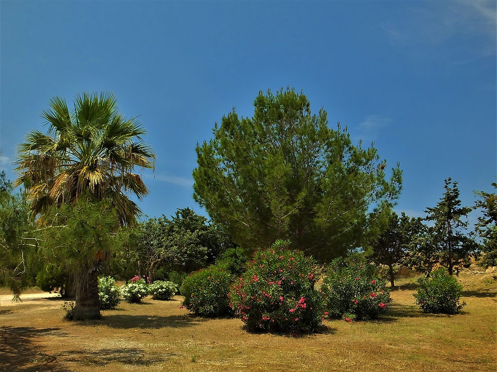 001 Tomb of Kings, Paphos