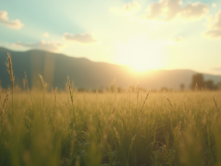 Exploring the Presence of Children in the Spirit World and Their Unknown Journeys