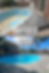 Pool Renovation & Revamps
