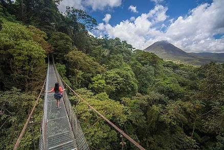 Costa Rica hanging bridge.jpg
