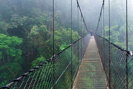 Costa Rica bridge.jpg