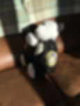 ElliBear3.jpg