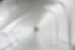 Hero image 2.jpg