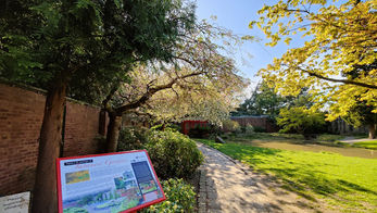 Japanese Garden 