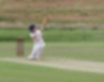 Cricketer