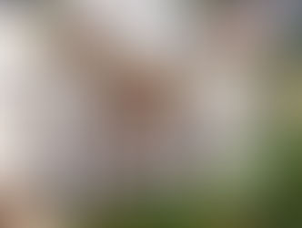 Επιδοτούμενα προγράμματα ευπαθών κοινωνικά ομάδων στην Περιφέρεια Κεντρικής Μακεδονίας