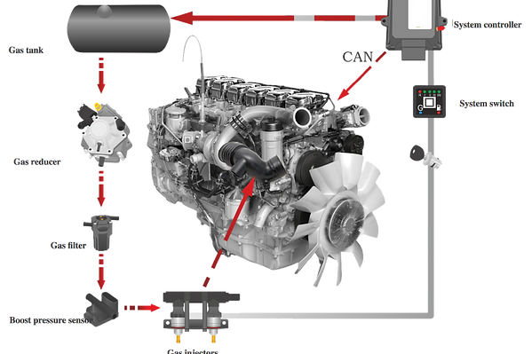 Dual fuel ECU