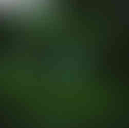 #游记 中台湾微醺之旅：从大甲芋头酥到OMAR威士忌，南投台中必访的13个职人品牌【2026年旅游攻略】