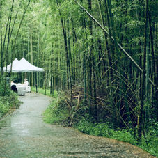 #游记 中台湾微醺之旅:从大甲芋头酥到OMAR威士忌,南投台中必访的13个职人品牌【2026年旅游攻略】