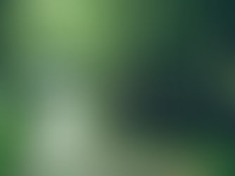 #游记 中台湾微醺之旅：从大甲芋头酥到OMAR威士忌，南投台中必访的13个职人品牌【2026年旅游攻略】