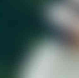 #游记 中台湾微醺之旅:从大甲芋头酥到OMAR威士忌,南投台中必访的13个职人品牌【2026年旅游攻略】