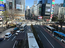 shibuya crosswalk crossing tokyo japon