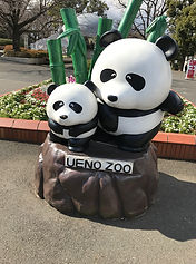 panda zoo ueno tokyo