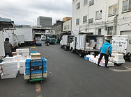 tsukiji market tokyo poisson marché