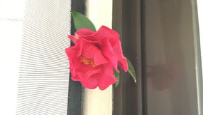 確定申告の準備