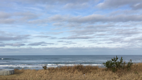 ISICOの専門家派遣