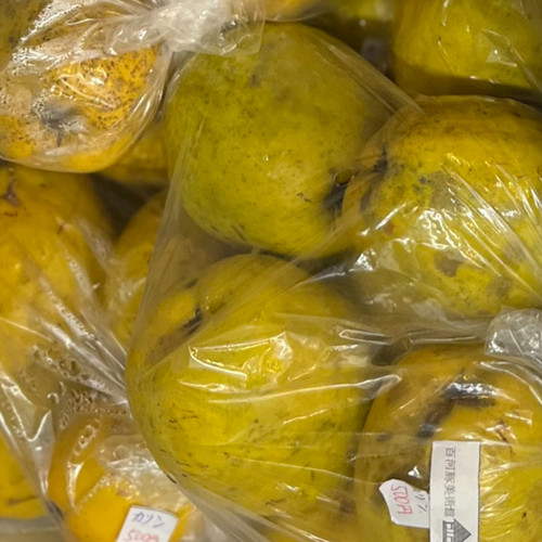 CHA-CHA-CHA 500ml | Niikawa Trader Gallery