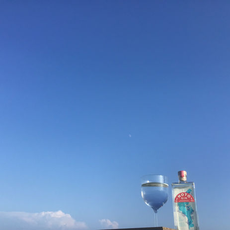 IMG_2121.jpeg