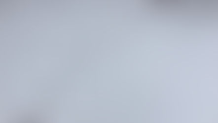 ニャンコの足跡