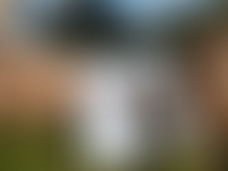 Negligencia y olvido