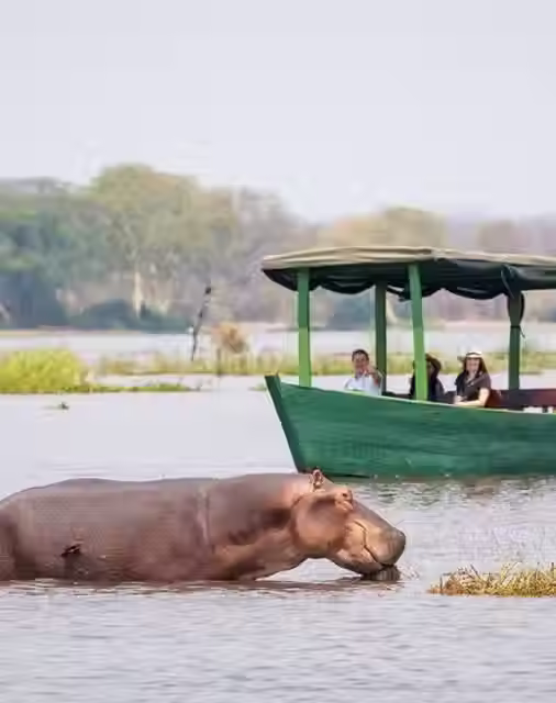 Malawi 9.avif