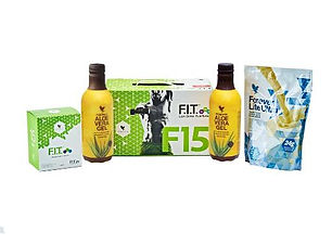 F15 beginner vanilla kit.jpg