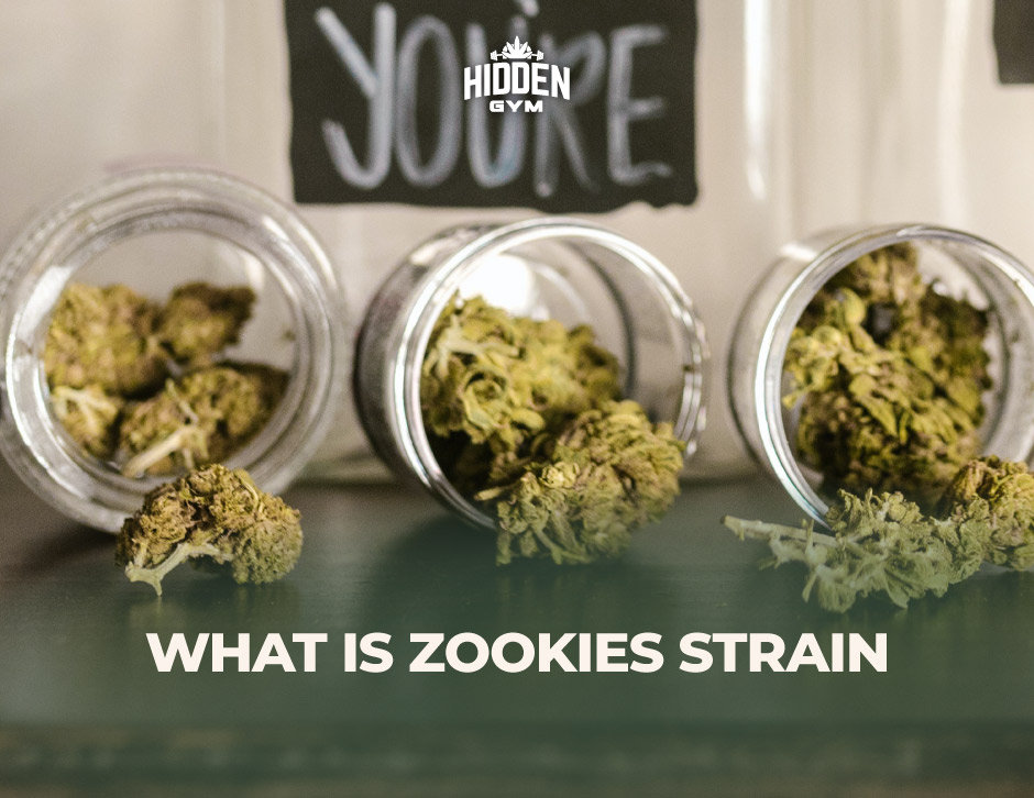 Zookies Strain A Comprehensive Guide