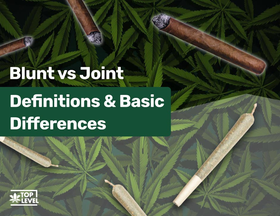 Blunt vs Joint Comparison Guide What’s the Difference?