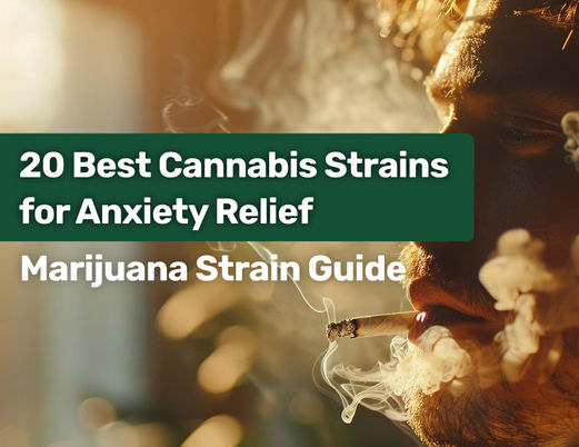 20 Best Cannabis Strains for Anxiety Relief: A Comprehensive Guide