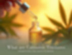 Cannabis tincture