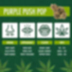 purple push pop weed strain