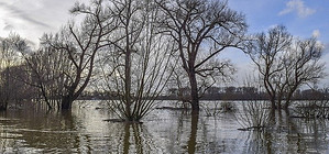 flood-6023999_640.jpg