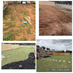 Turf Job Before And After