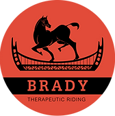 BradyLogo_COLOR_LARGE.png