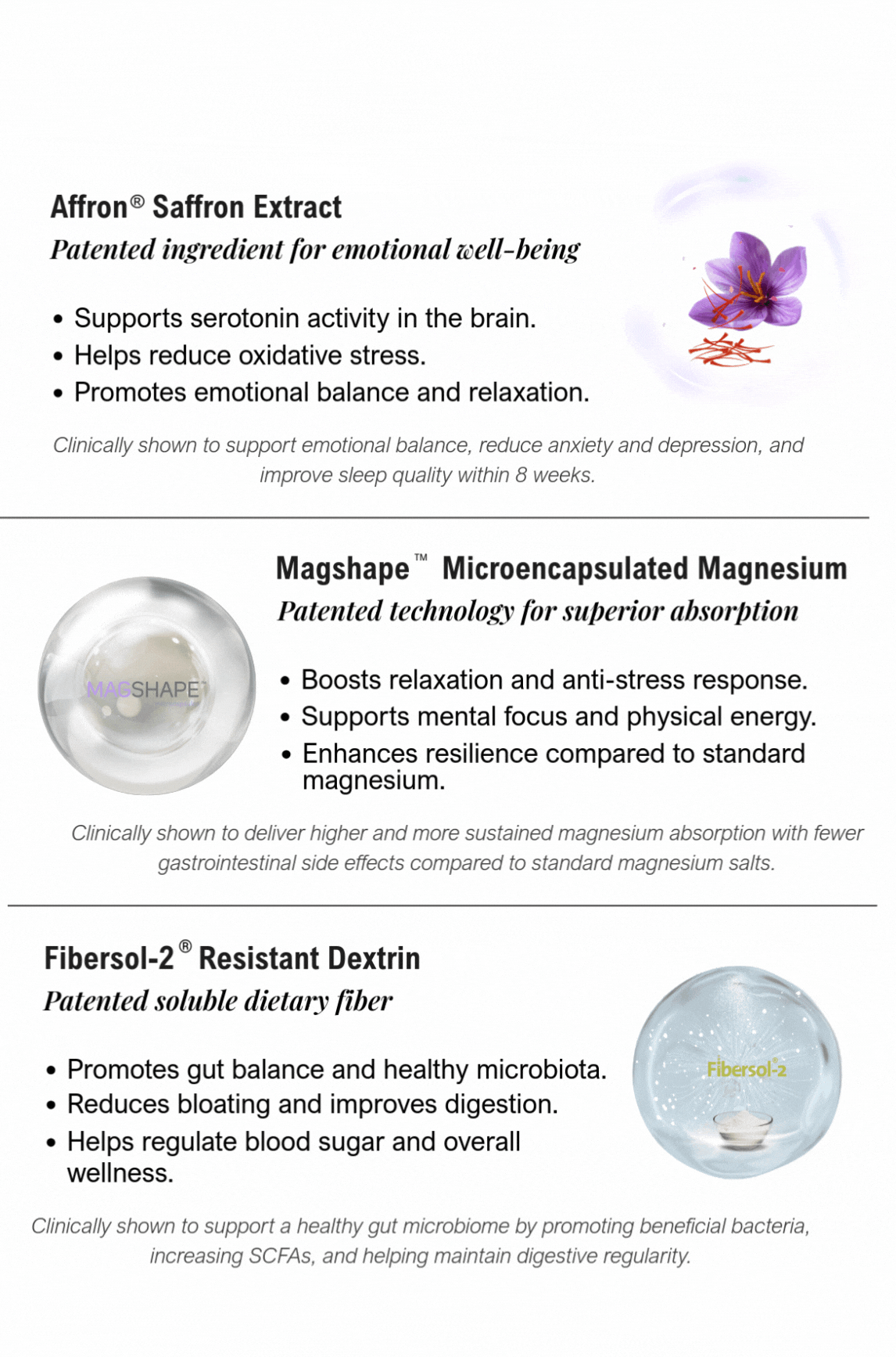 调节神经递质 (2).gif