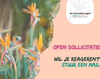 Kopie van Formatie bericht (2).png