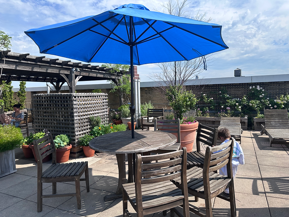 Sommerakademie: Lunch auf einem Rooftop