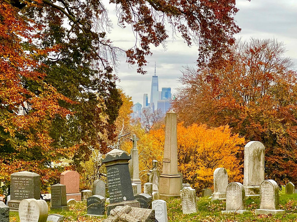 Sommerakademie: Spaziergang über den Greenwood Cemetery