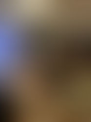 Confraternização da Diretoria do Settrim