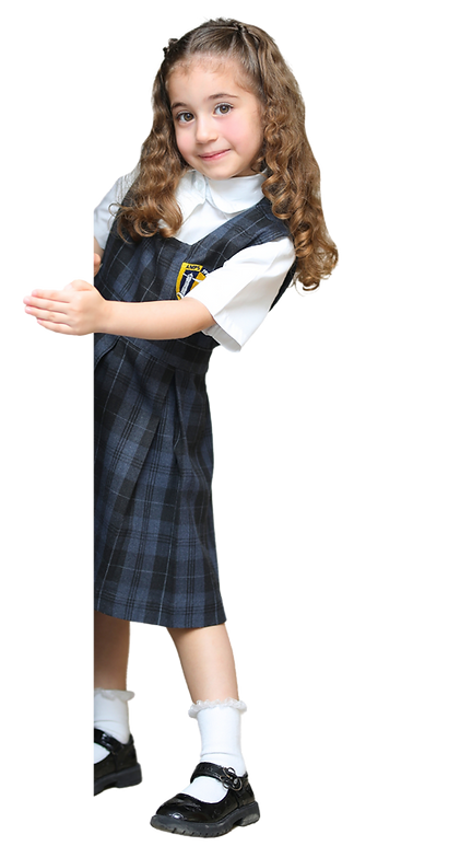 Al Manara Private School